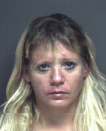Christine Ann Land