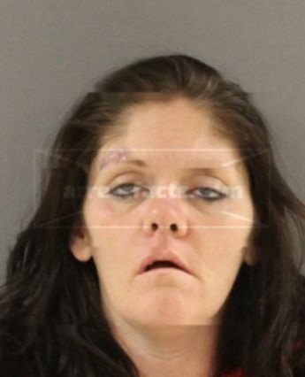 Melissa Allison Satterfield