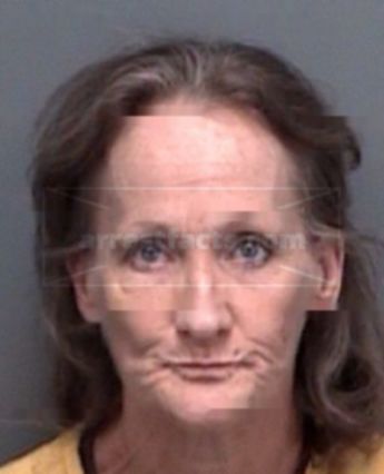 Denise Joy Larson