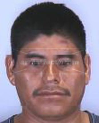 Guadalupe Martinez Lopez