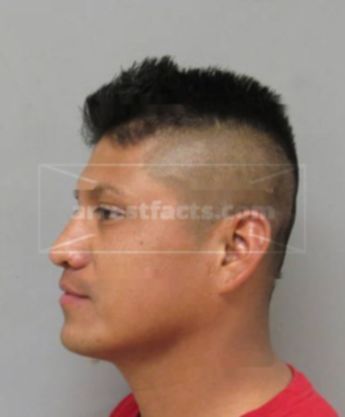 Elmer Vasquez-Ramirez