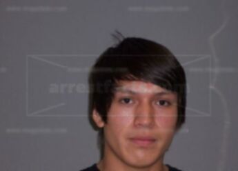 Nicholas Andreas Not Afraid