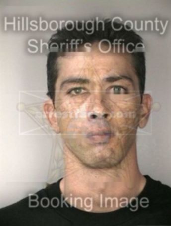 Andrew Hartley Hatcher