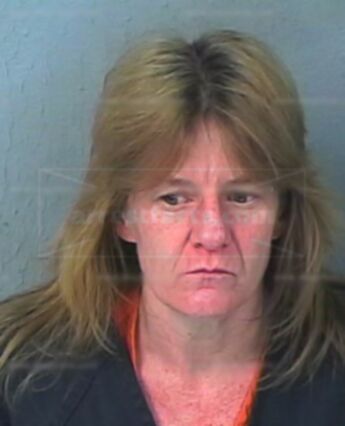 Maryann Ann Toto