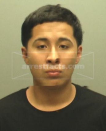 Matthew Chico Solis