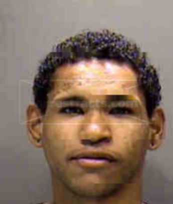Hector Luis Martinez-Reyes