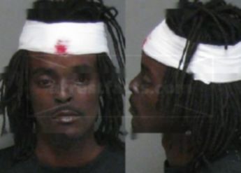 Mallon Dywan Mcalister