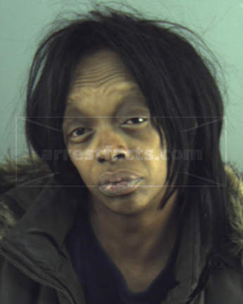 Sheila Shanta Williams