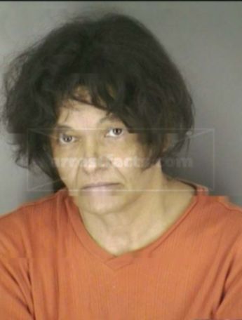 Jeanette M Willard