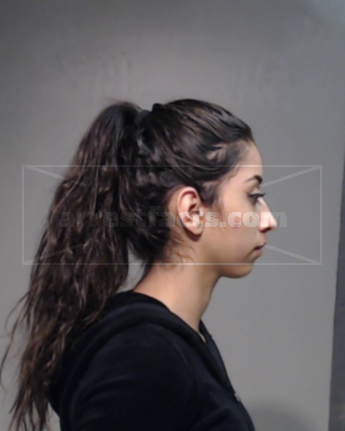Chrystian Alessandra Arispe Garcia