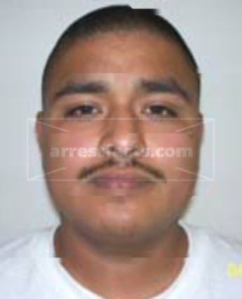 Ulysses Luna Palache