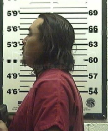 Aaron L Chavez