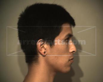 Patrick Alexander Flores Gonzalez