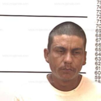 Ramon Navarro Martinez