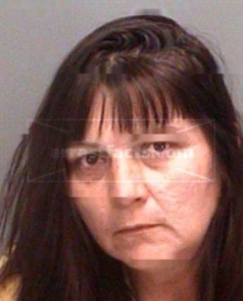 Kathy Ann Steward