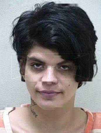 Ashley Diane Driver