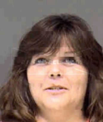 Julie C Ryan