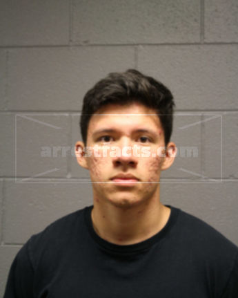 Donel Ibarra