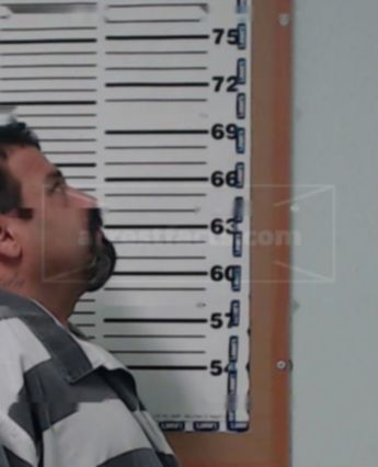 Nestor Martinez-Salas