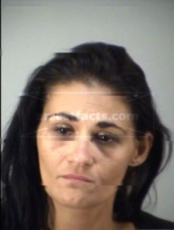 Erika Lynn Willis