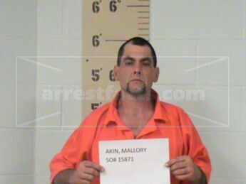 Mallory James Akin