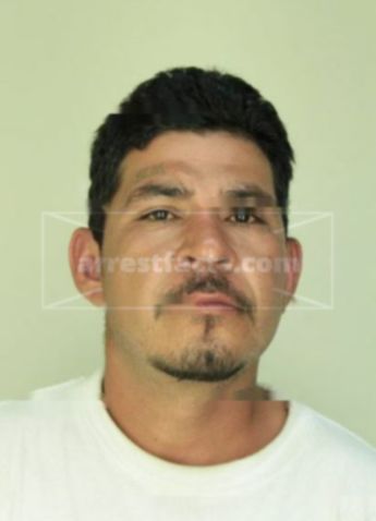 Rogelio Mendoza Gonzalez