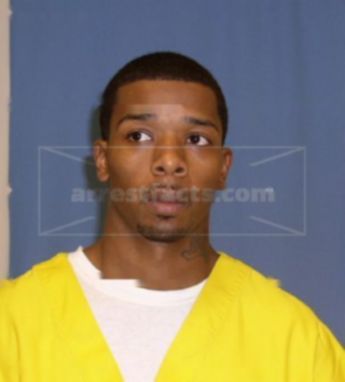 Damian J Boyden