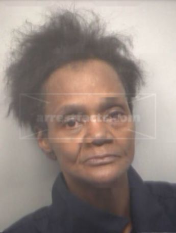 Priscilla Ann Mitchell