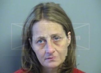 Diana L Camp
