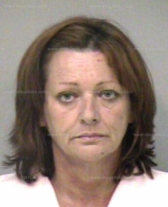 Diane L Gandy