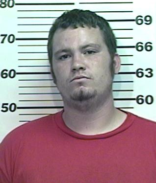 Courtney Allen Stallings