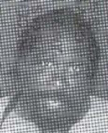 Grandville Dwight Anderson