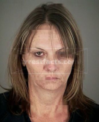 Susan Lynn Landes