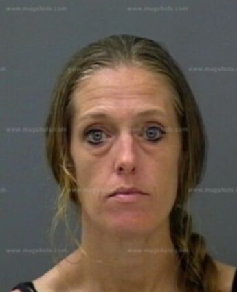 Sandi Lee Arsenault