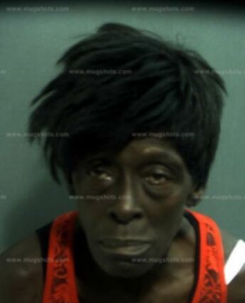 Shirley Ann Carter