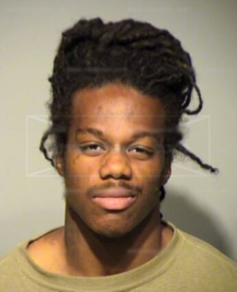 Monti Webb