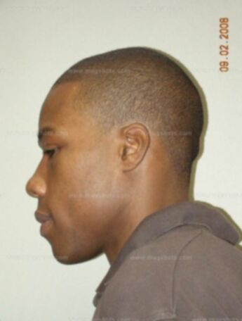 Marcus J Royston