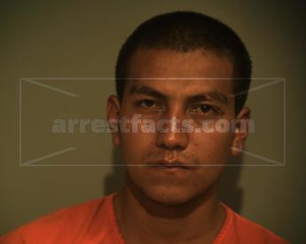 Victor Alvarega Flores