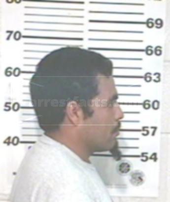 Mariano Gallegos Martinez