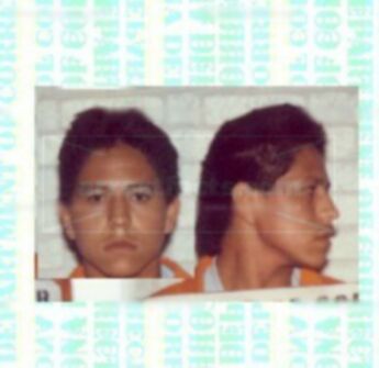 Alejandro A Leon