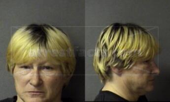 Heidi Sue Sayers