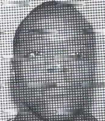 Carl Otis Gibbs