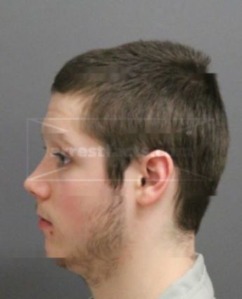 Kelly James Newton