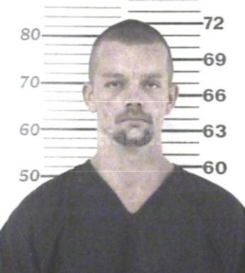 Codey Lynn Williamson