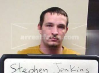 Stephen Jenkins