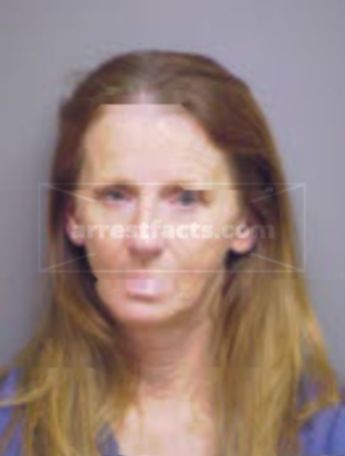 Donna L Johnson