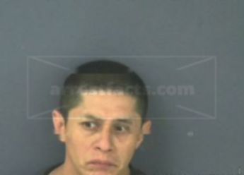 Luis Roman Reyes