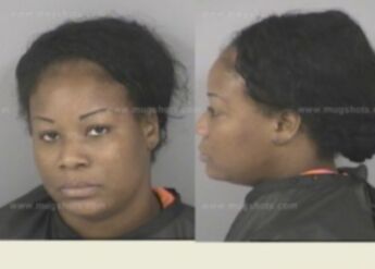 Dorene Cook