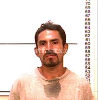 Martiniano Araujo Romero