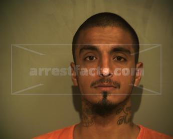 Nicolas Castillo Munoz